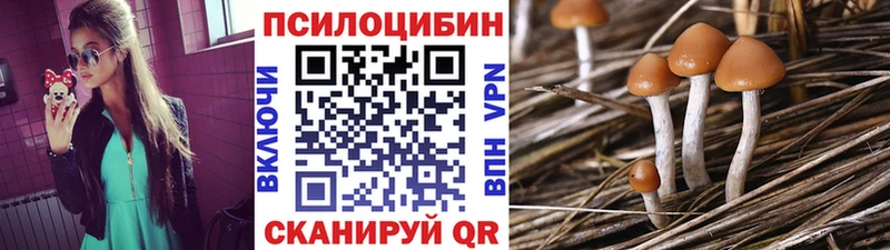 где продают наркотики  Галич  Галлюциногенные грибы GOLDEN TEACHER 